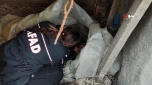 Edirne'de yürek sızlatan görüntü... AFAD, donmak üzereyken bulunan yaşlı kadını nefesiyle ısıttı