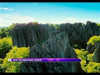 Misi selamatkan lemur dalam 'Island Of Lemurs: Madagascar'