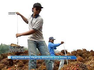 Malaysian April palm oil inventory seen rising 3%
