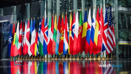 Top 10 Facts About Nato You Should Know About