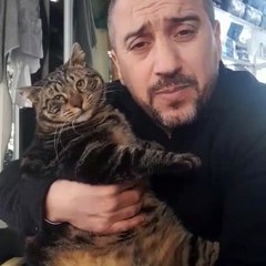 Efkarlanan kedi türküye eşlik etti