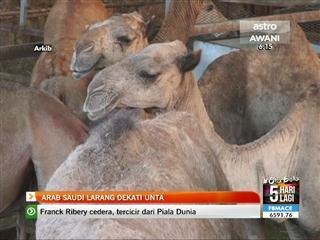 MERS-COV: Arab Saudi larang dekati unta