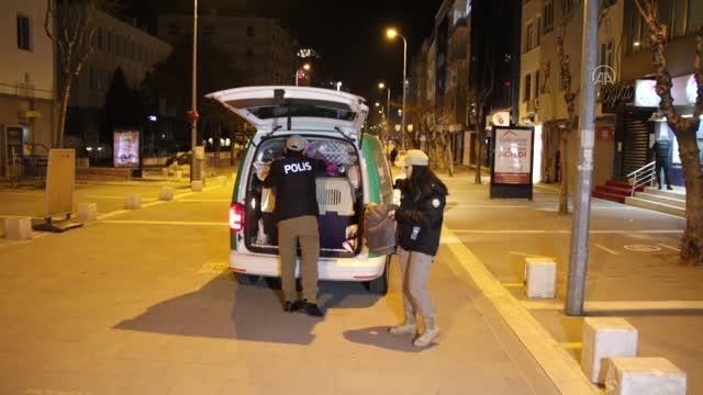 Son dakika! Polis ekipleri soğuk hava nedeniyle sokak hayvanları için seferber oldu