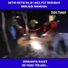 detik-detik b4_b1 ng3_p3t ini berubah menjadi manusia, ini yang terjadi...