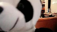 KIF_1704