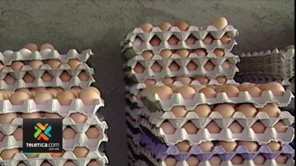 tn7-aumento-precios-120322