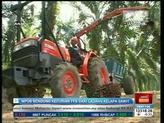 MPOB bendung kecurian FFB dari ladang kelapa sawit