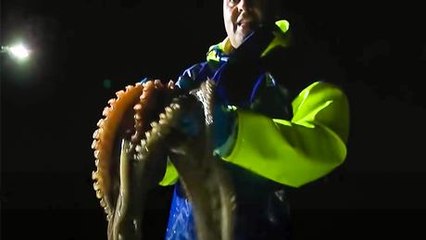 La pesca del pulpo en el Algarve