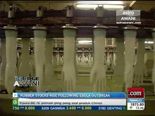 Rubber stocks rise following Ebola outbreak