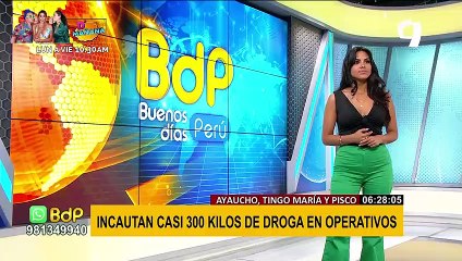 Incautan casi 300 kilos de droga en distintos operativos en el interior del país