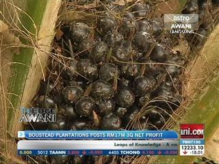 Boustead Plantations posts RM17m 3Q net profit