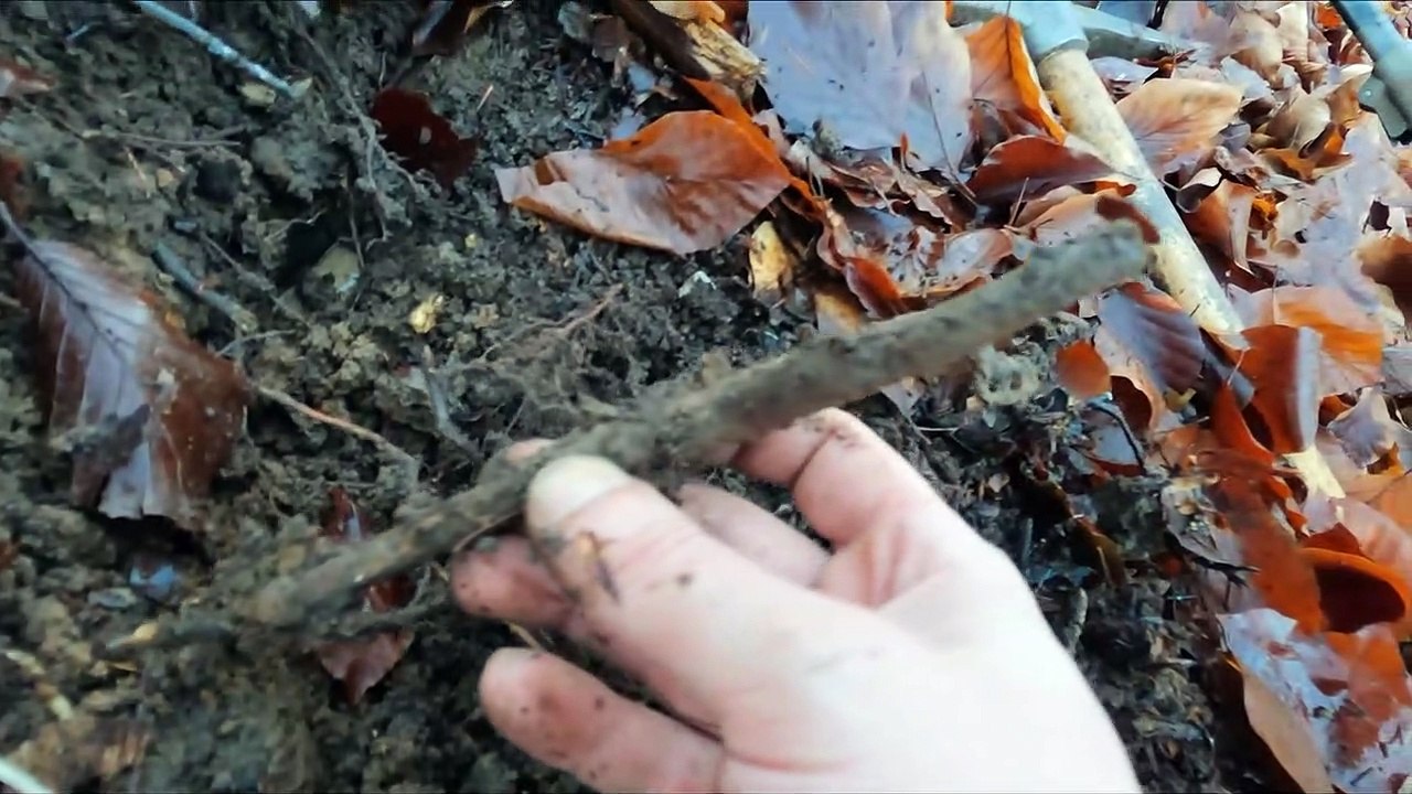 Sondeln_Metal Detecting Kurz aber Knackig