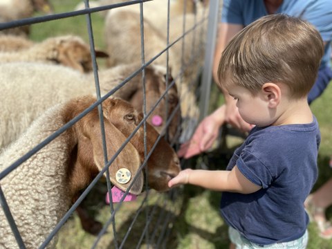 Scenic Rim Farm Gate Trail, March 13, Beaudesert Times
