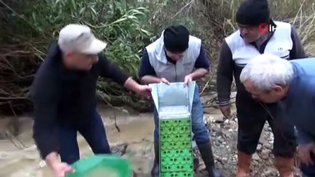 Belgesel değil gerçek! Türkiye'de buz gibi suda altın peşinde: ''Hobi amaçlı yapıyoruz, ek gelirde oluyor''