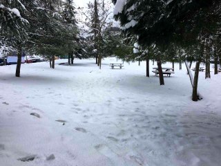 Başakşehir güne beyaz örtüyle uyandı