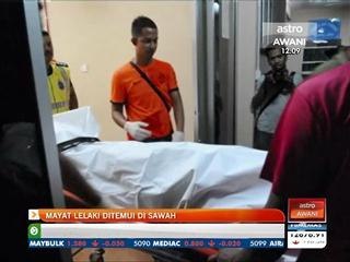 Mayat lelaki ditemui di sawah