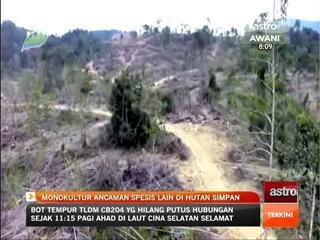 Monokultur ancaman spesis lain di hutan simpan