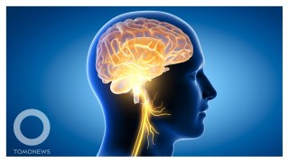 Covid-19 Bikin Otak Menyusut, Menurut Studi Terbaru