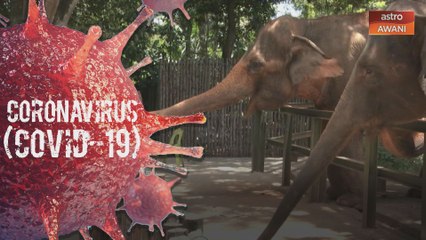 Zoo Melaka wujud tabung bantuan 650 ekor haiwan