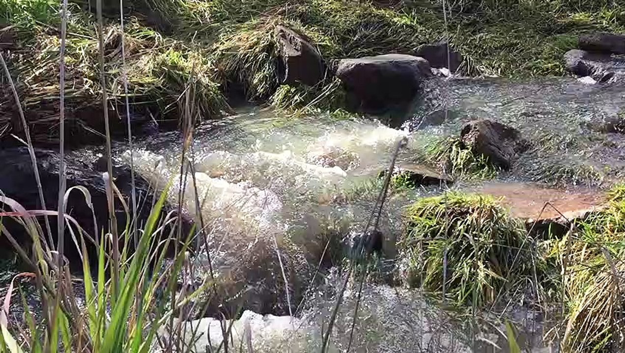 STREAM OF WATER