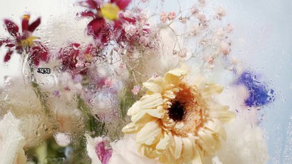 মা হাজেরার জীবন কাহিনী | history of jam jam water | the best water on earth | history of zamzam well