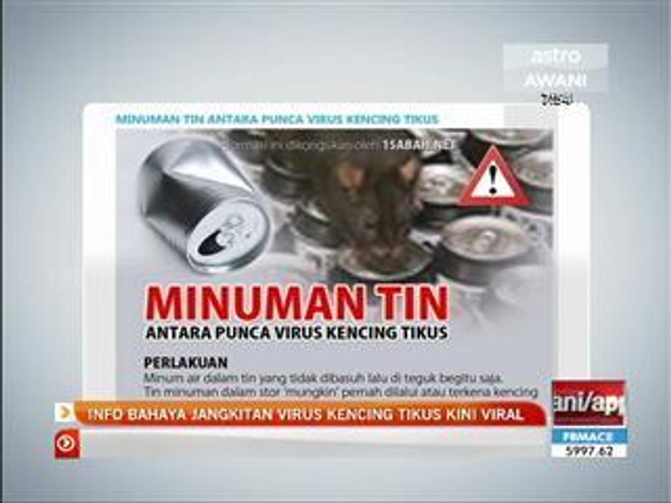 Info bahaya jangkitan virus kencing tikus kini viral