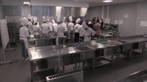 Cezayirli gastronomi öğrencileri Türk mutfağı eğitimi aldı