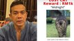 Kucing kesayangan hilang, Rosyam Nor tawar RM1,000 siapa jumpa ‘Midnight’… Rayu pulangkan jika teram