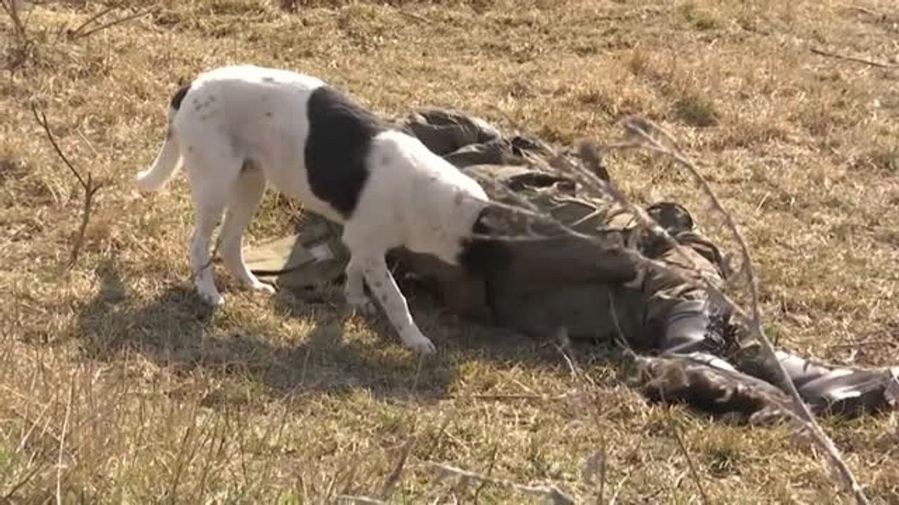 Darina, una ucraniana escondida en Kiev: "En estos momentos te despides de la vida"