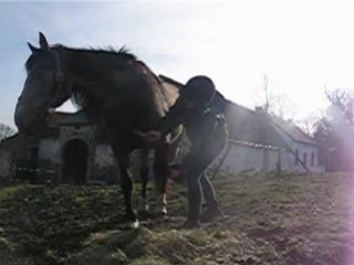 MVI_5204 MVI