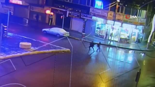 Yolda yürüyen vatandaşın telefonunu 'kapkaç' yöntemiyle böyle çaldı