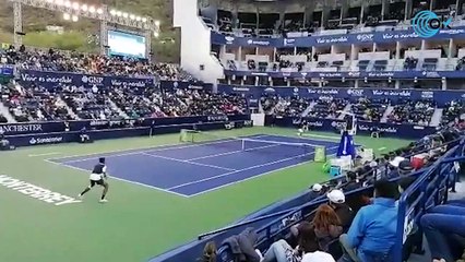 Un aficionado amenaza a Verdasco en pleno partido: "¡Te veo afuera!"