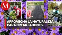 Macrina y Alejandro producen plantas medicinales y comercializan jabones artesanales