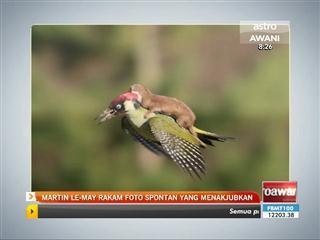 Martin Le-May rakam foto spontan yang menakjubkan