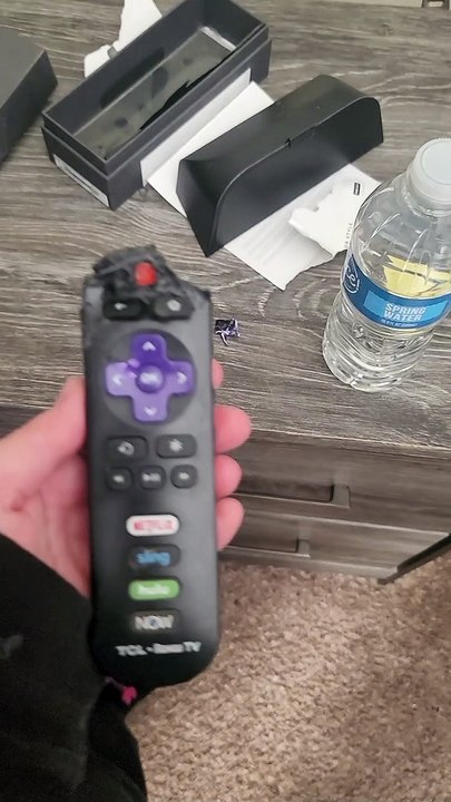 Confronting the Dog Over Chewed Up Remote