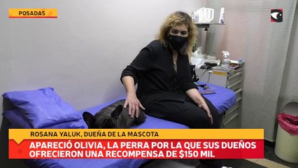 Apareció Olivia, la perra por la que sus dueños ofrecieron una recompensa de $150 mil