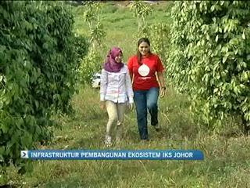 Infrastruktur pembangunan ekosistem IKS Johor
