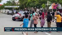Selain Berkemah di Titik Nol, Presiden dan Gubernur Se-Indonesia Akan Tanam Bibit Pohon di IKN