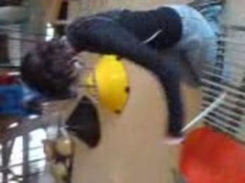 Laura atelier percus 2