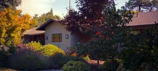 The Alternate Movie: A Dimensional Journey 🎥