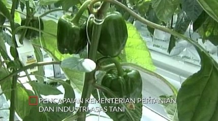 Setahun Malaysia Baharu: Kejayaan Kementerian Pertanian & Industri Asas Tani