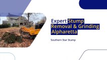 Expert Stump Removal & Grinding in Alpharetta