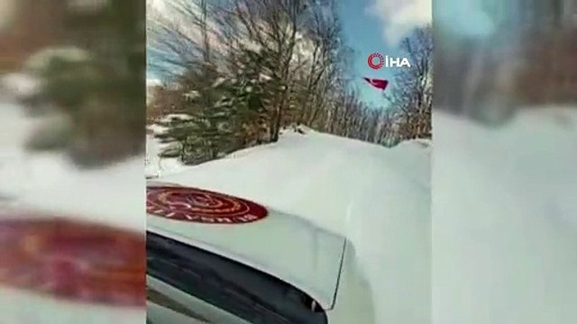 İtfaiye ekipleri buz tutan gölete düşen köpeği donmak üzereyken kurtardılar