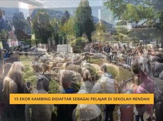 15 ekor kambing didaftar sebagai pelajar di sekolah rendah