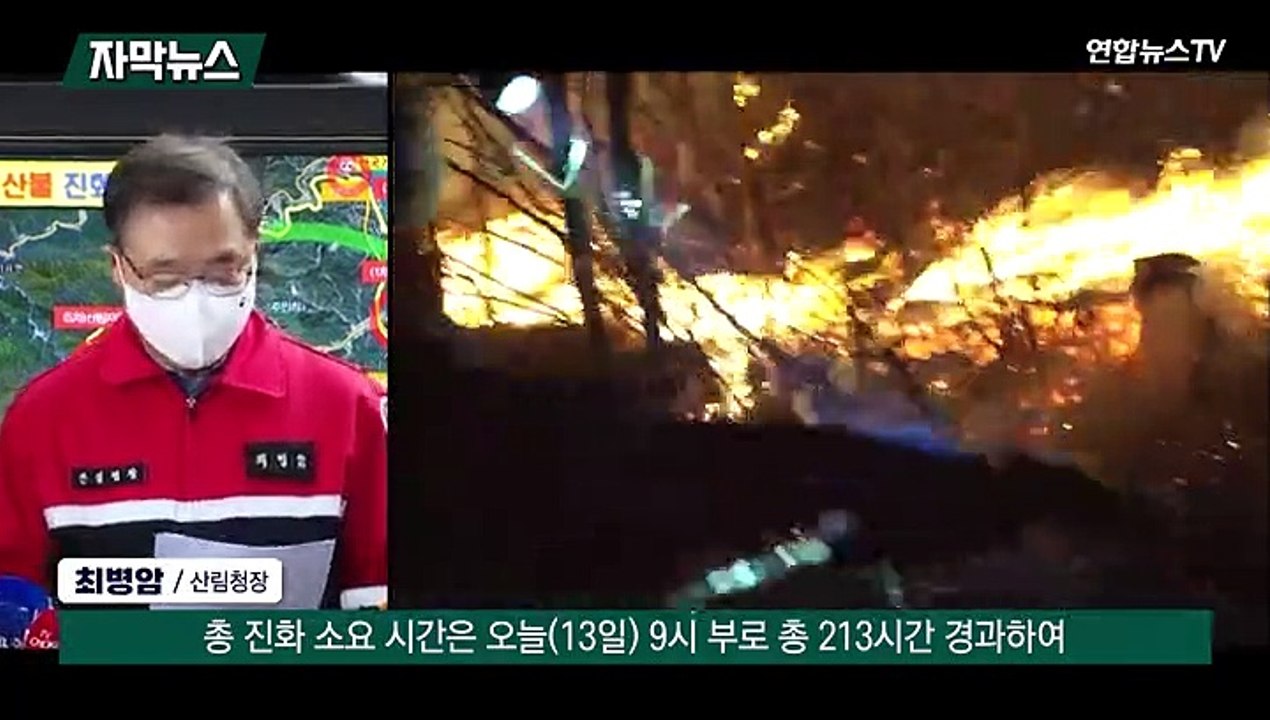 [자막뉴스] 동해안 산불로 서울 면적 40% 잿더미…"산림 구조 바꿔야"