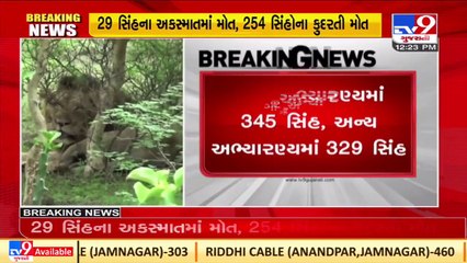 Heated discussion on death of lions in Vidhansabha, 283 lions killed in 2 years _ TV9News