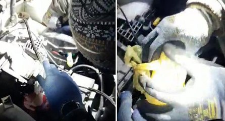 Şeytanın aklına gelmezdi, jandarma ekiplerinden kaçmadı