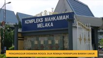 Penganggur didakwa rogol dua gadis bawah umur