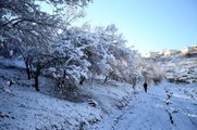 KAHRAMANMARAŞ - Çiçek açan badem ağaçları karla kaplandı