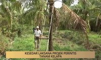 Khabar Dari Kelantan: Kesedar laksana projek perintis tanam kelapa